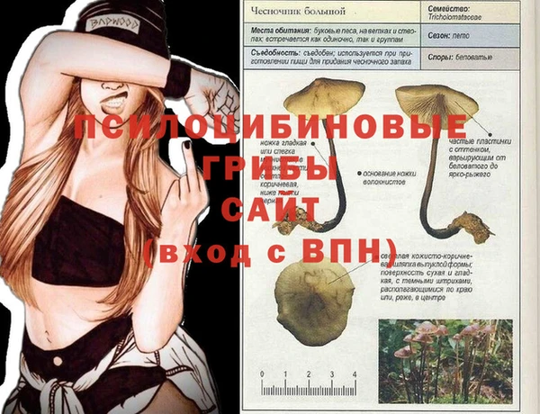 бошки Арсеньев