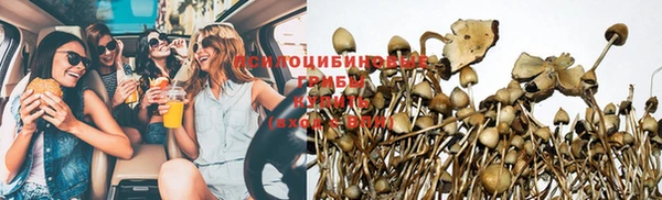 дживик Армянск